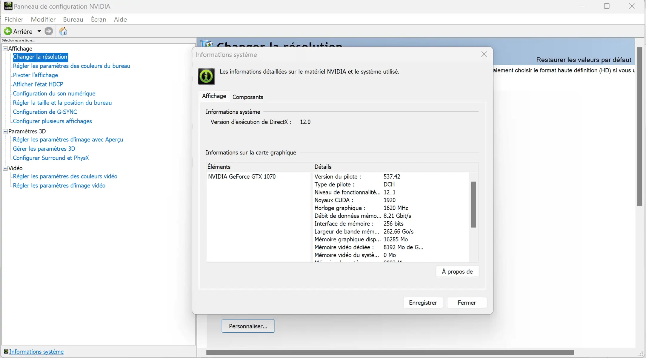 Directx 12 Panneau Nvidia